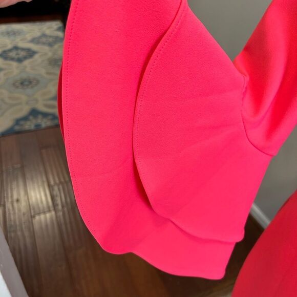 EUC Calvin Klein Ruffled Sleeve Sheath Dress - Picture 3 of 8